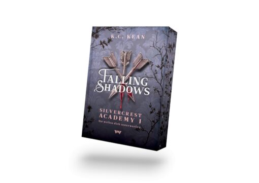 Falling Shadows Mockup_neu_neu.png